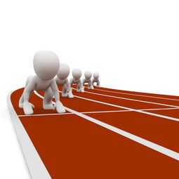 开云电子竞技-中小学体育健康教育课程开发与实践，中小学体育与健康课程指导纲要